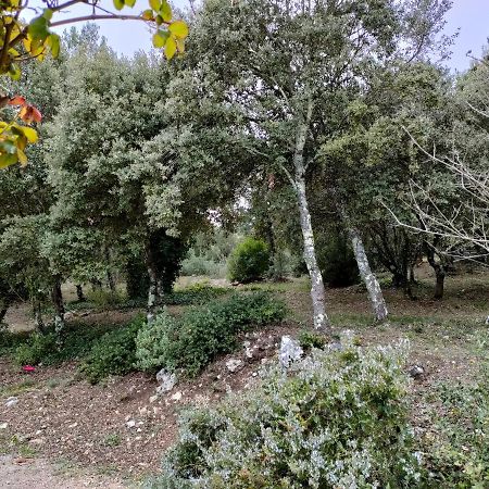 O'Fildl'Eau Gite Sillans-la Cascade Luaran gambar