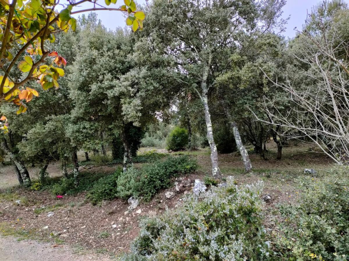 O'Fildl'Eau Gite Sillans-la Cascade Luaran gambar
